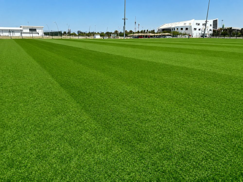 A freshly mown training pitch with the estate buildings on the horizon