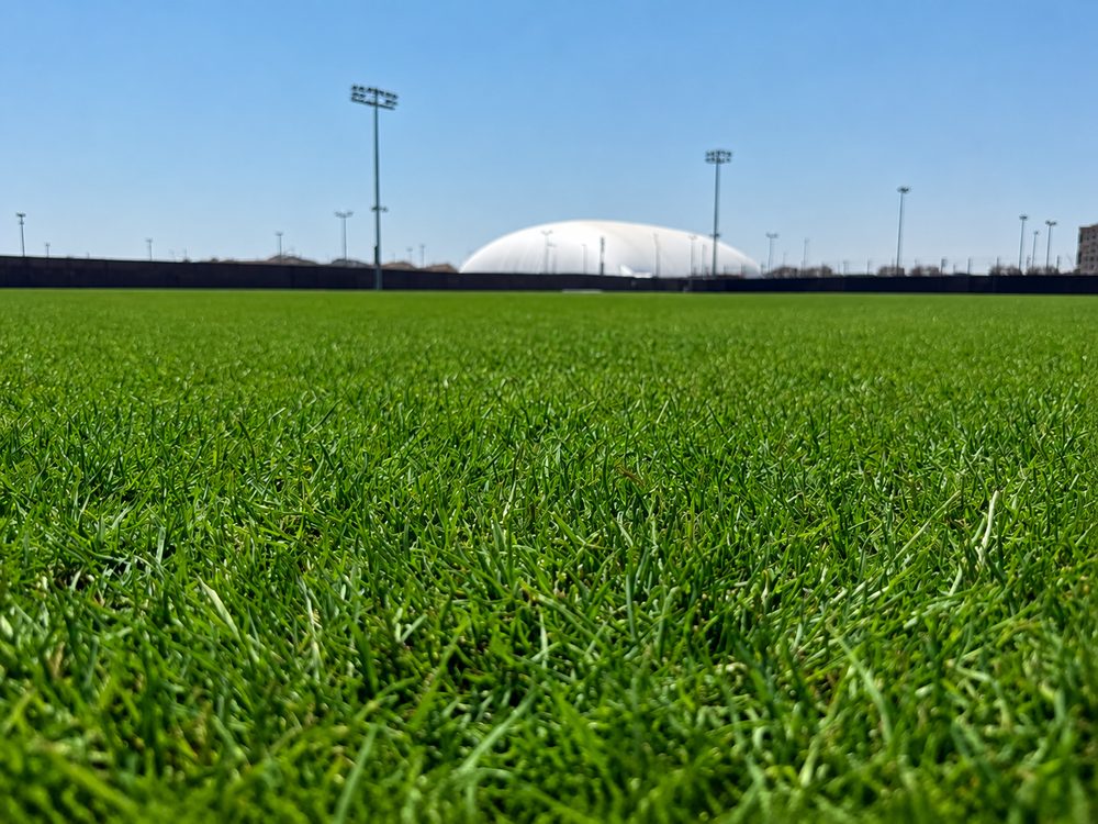 The playing surface photographed from pitch level, floodlights beyond